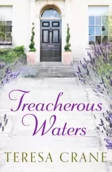 Image of Treacherous Waters : A love story full of twists