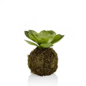 Image of CCK0119 Green Succulent Artificial Plant