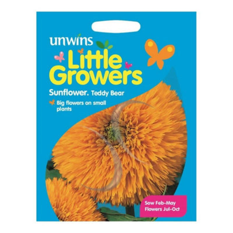 Image of Unwins Little Growers Sunflower Teddy Bear