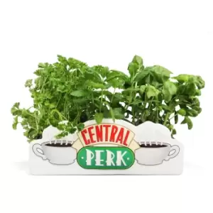 Image of Friends Central Perk Table Top Vase