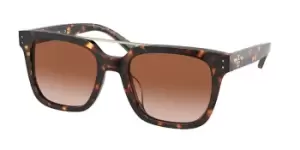 Tory Burch Sunglasses TY7166U 172813