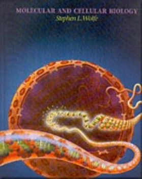Image of Molecular and Cellular Biology by Stephen L. Wolfe Hardback