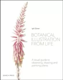 Image of Botanical Illustration from Life : A Visual Guide to Observing, Drawing and Painting Plants