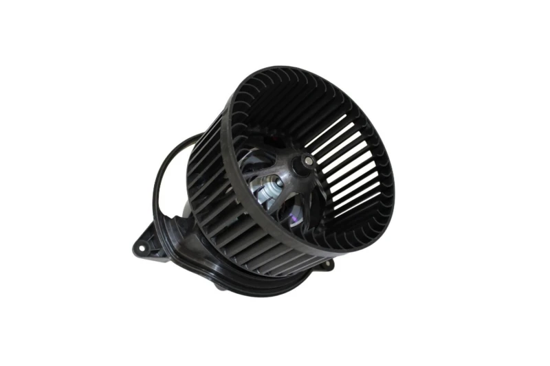 Image of Blower motor WALKER WBL00833