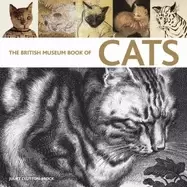 Image of british museum book of cats ancient and modern
