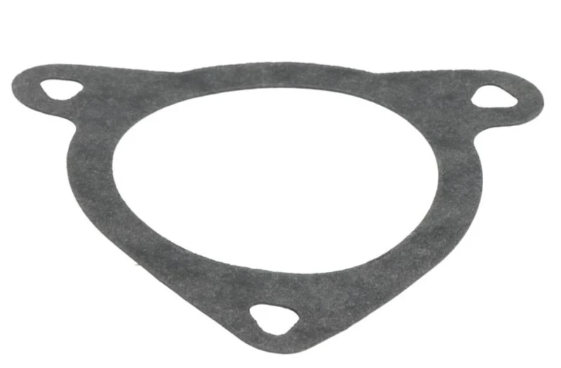 Image of LEMA Exhaust manifold gasket LEMA 24960.09