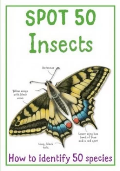 Image of Spot 50 Insects by Camilla De La Bdoyre Paperback