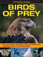 Image of exploring nature birds of prey