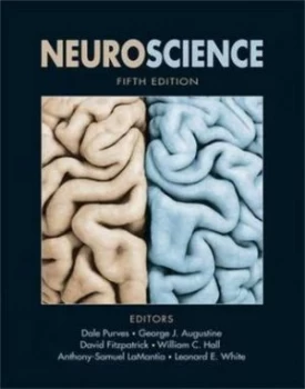 Image of Neuroscience by Dale Purves Hardback