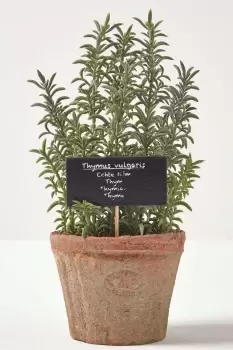 Image of Artificial Thyme Plant in Decorative Pot