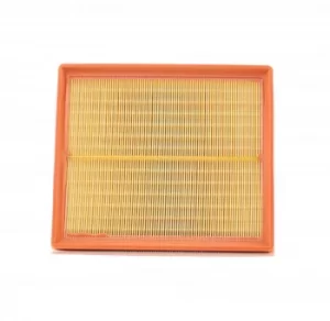 Image of MANN-FILTER Air Filter RENAULT,NISSAN,OPEL C 29 168 1654600QAD,1654600QAT,4405238 Engine Filter 4416481,8200259359,8200505566