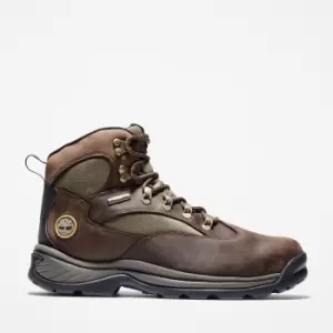 Timberland Chocorua Waterproof Hiking Boot For Men In Brown, Size 12.5