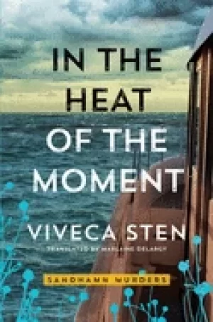 Image of in the heat of the moment