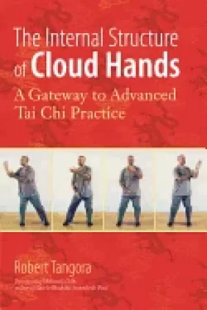 Image of internal structure of cloud hands a gateway to advanced tai chi practice