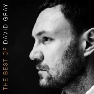 Image of The Best of David Gray by David Gray CD Album