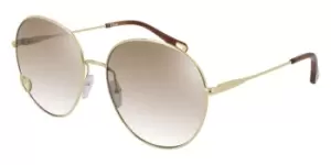 Image of Chloe Sunglasses CH0027S 006
