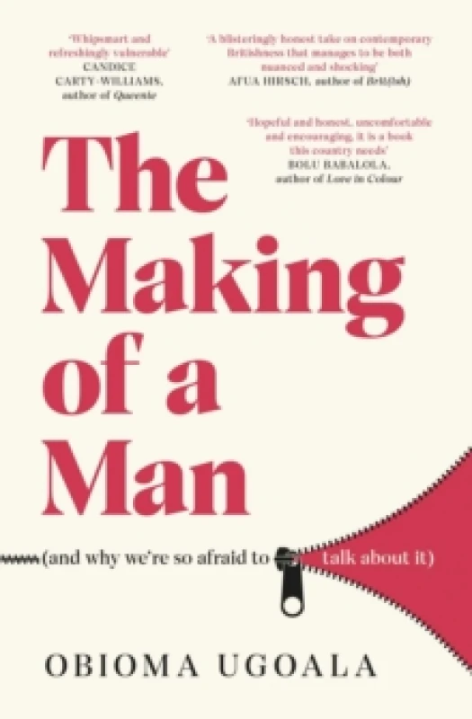 Image of The Making of a Man (and why we're so afraid to talk about it) Paperback / softback