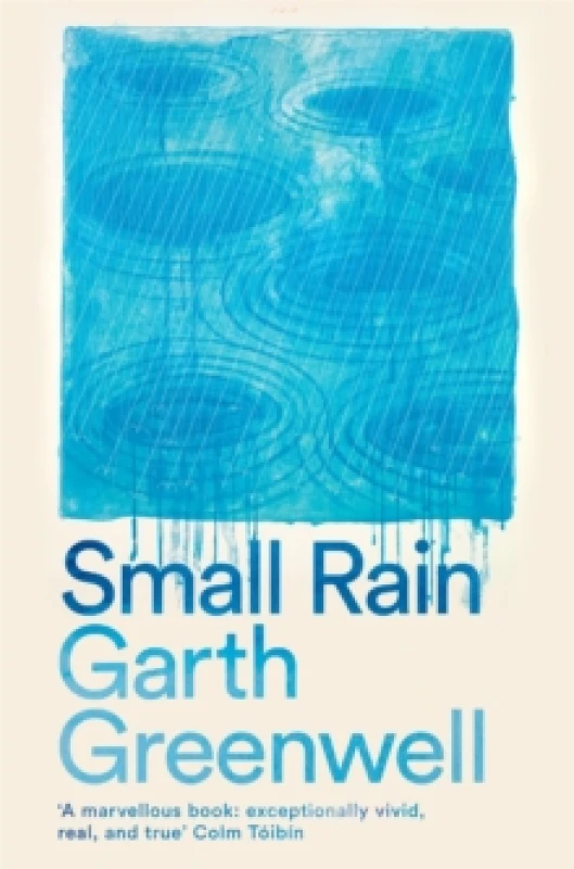Image of Small Rain Paperback / softback