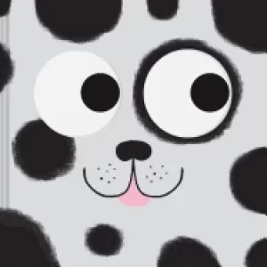 Image of catch me a sneak and find book