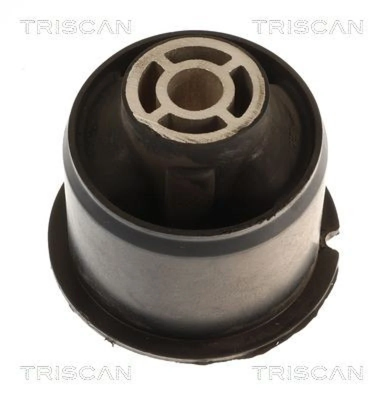 Image of TRISCAN Axle bush TRISCAN 8500 16888