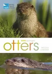 Image of RSPB Spotlight: Otters