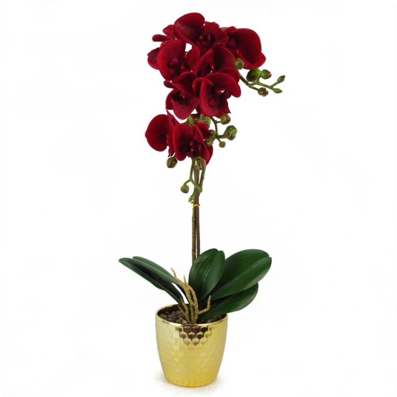 Image of Leaf 50cm Phalaenopsis Orchid Artificial - Dark Red - Gold Pot Red unisex
