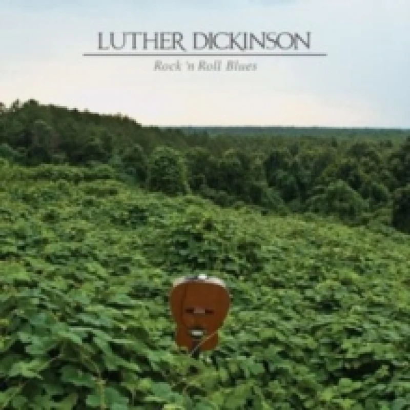 Image of Rock 'n roll blues Vinyl