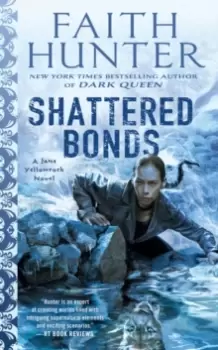 Image of Shattered Bonds