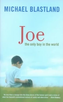 Image of Joe by Michael Blastland Hardback