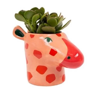 Image of Giraffe Plant Pot