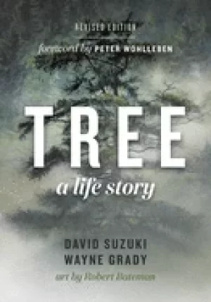 Image of tree a life story