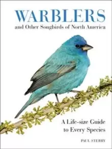 Image of Warblers and Other Songbirds of North America : A Life-size Guide to Every Species
