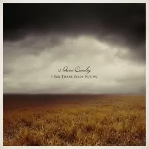 Image of Adrian Crowley - I See Three Birds Flying CD