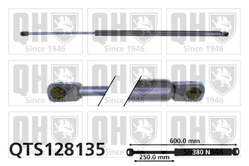 Image of QUINTON HAZELL Tailgate strut QUINTON HAZELL QTS128135