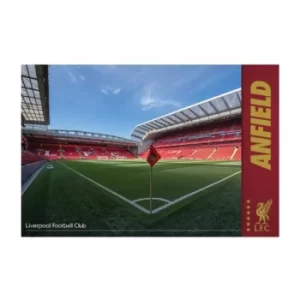 image of Liverpool FC Poster Anfield 33