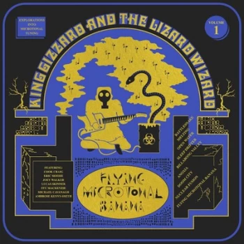 Image of Flying Microtonal Banana by King Gizzard & the Lizard Wizard CD Album