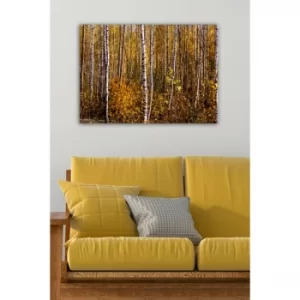 Image of 1538462351-5070 Multicolor Decorative Canvas Painting
