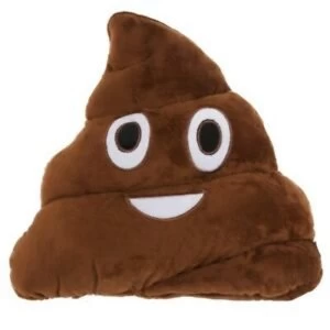 Image of Poop Emotive Cushion