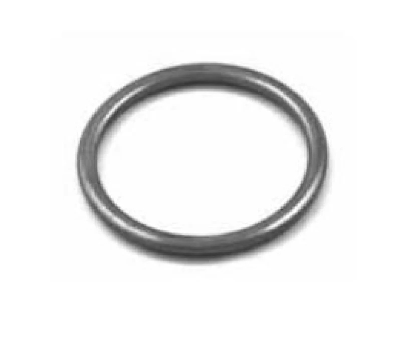 Image of VEGAZ HOD-110 Seal, exhaust pipe Metal Seal,exhaust pipe (204)