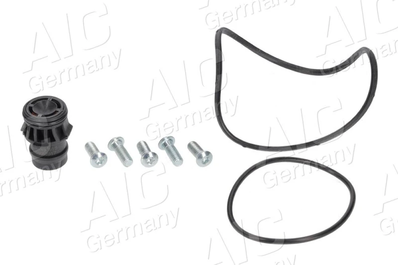Image of Repair Kit, vacuum pump (brake system) AIC 56249