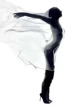 Image of Spirit of ecstasy by Rankin