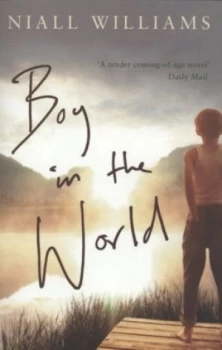Image of Boy in the world by Niall Williams