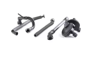 Image of ESEN SKV Repair Set, crankcase breather BMW 31SKV040 11617501566,7501566
