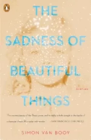 Image of sadness of beautiful things stories