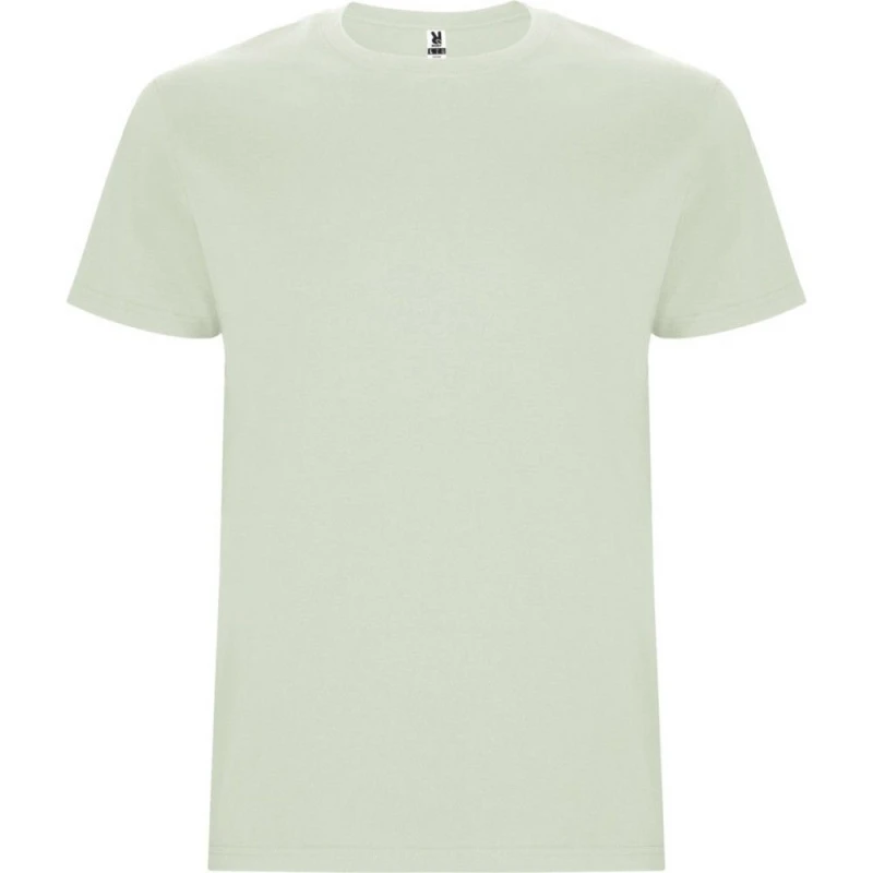 Image of ROLY Stafford Short-Sleeved T-Shirt in Pale Green Size: 11-12 Years Pale Green Unisex 11-12 Years