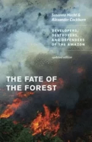 Image of fate of the forest developers destroyers and defenders of the amazon update
