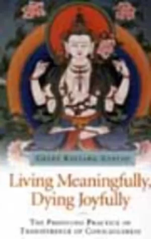 Image of Living meaningfully dying joyfully by Geshe Kelsang Gyatso