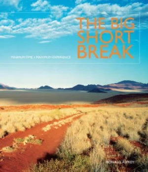 Image of The Big Short Break by Ronald Asprey Hardback