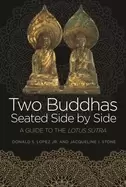 Image of two buddhas seated side by side a guide to the lotus sktra