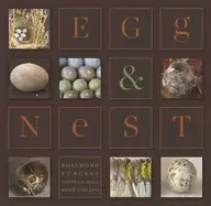 Image of egg and nest